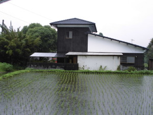 この建物の形・・・キュンときました♪